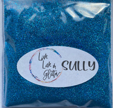 Load image into Gallery viewer, Sully Holographic Ultra Fine Glitter
