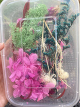 Load image into Gallery viewer, Dried Flowers container #2
